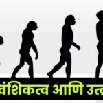 Genetics and evolution Information in Marathi